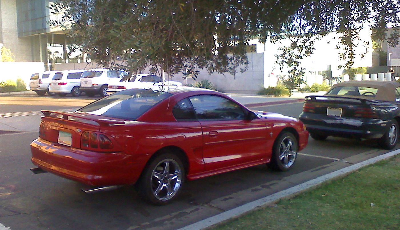 [haha-stupid-mustang.jpg]