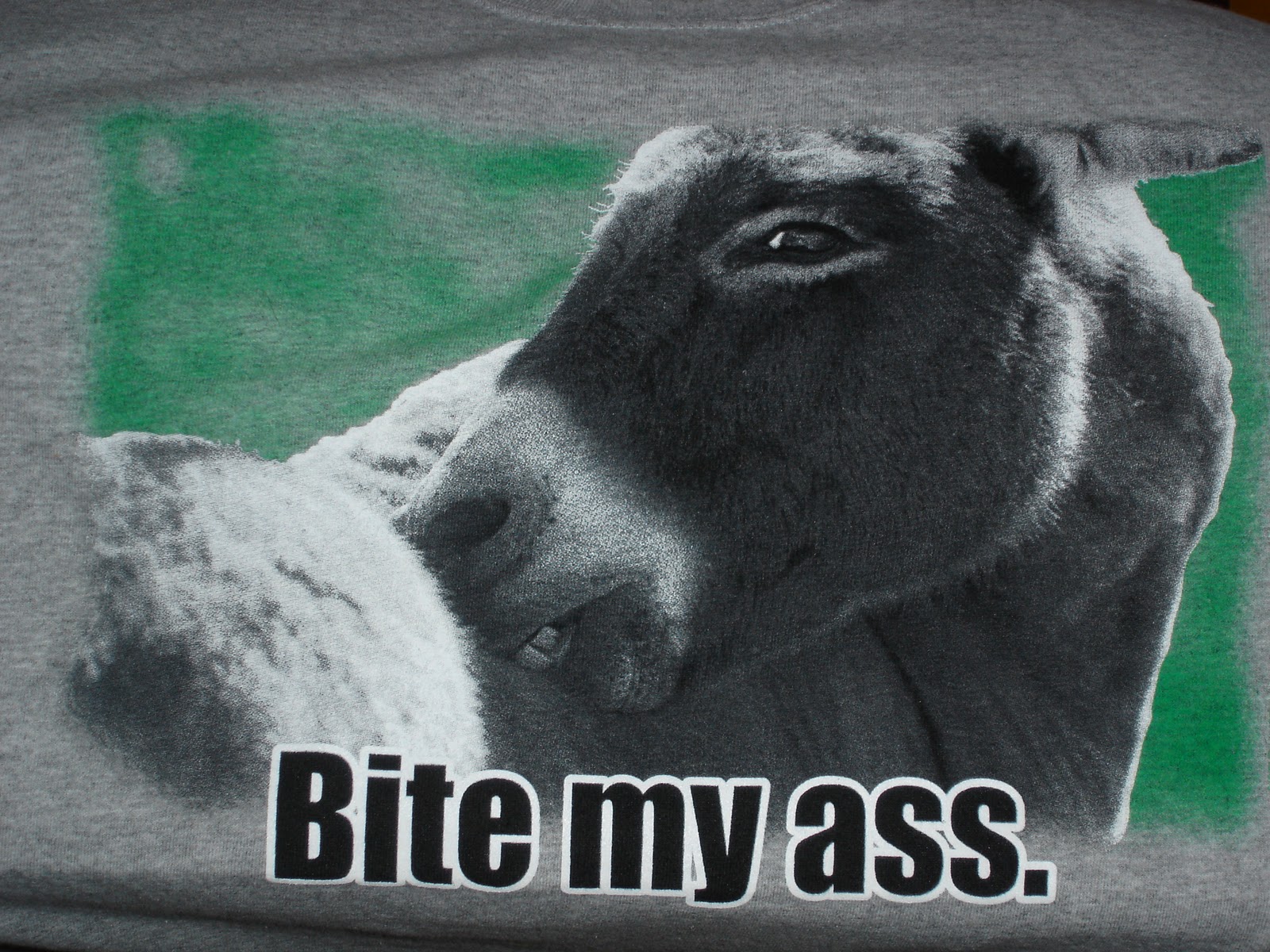 My Miniature Donkeys: Inappropriate vs Just Plain Funny