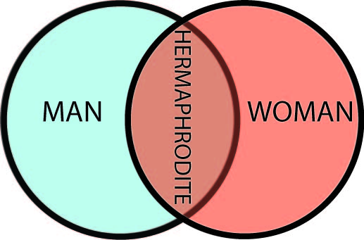 WEB BROADCAST: WEEK THREE - Venn Diagrams