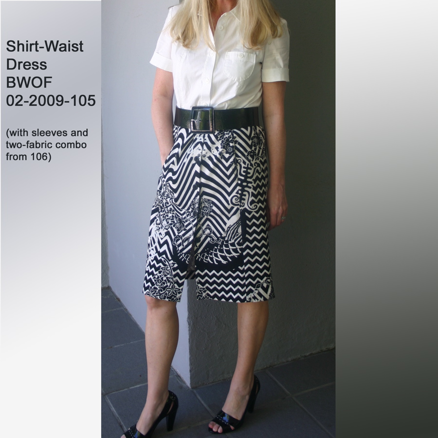 [Shirt-Waist+Dress.jpg]