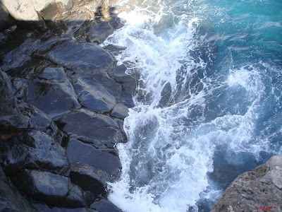 DSC08732.JPG