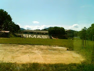 SMAS