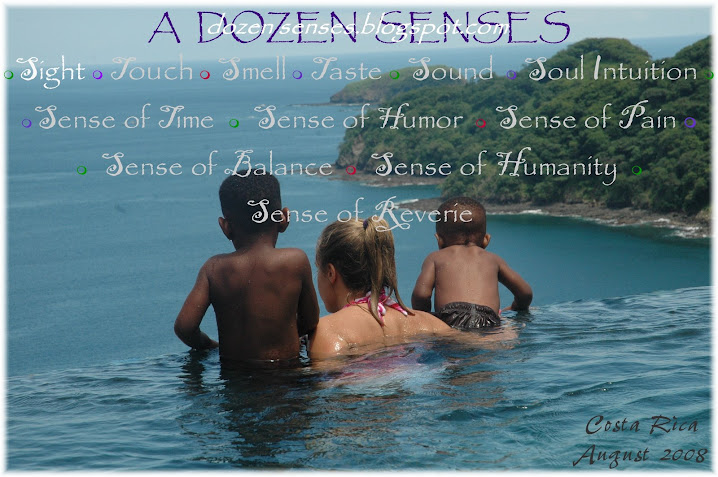 Dozen Senses