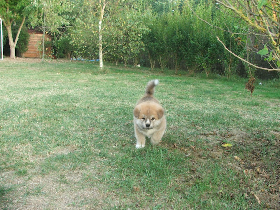 MALE N°2