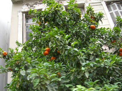 CIMG8175 - Underbar dag på stan i Aten igår