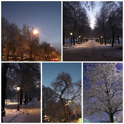 promenad+i+gryning - Promenad i gryningsljus