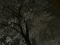 CIMG6770 - 10 bonusminuter på promenaden