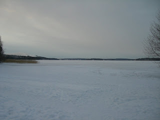 CIMG6685 - Ljus, vacker och kall morgonpromenad