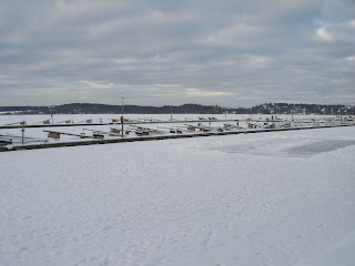 CIMG6874 - Vacker vinterdag med lite sol