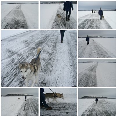 [Ute+på+isgatan.jpg]