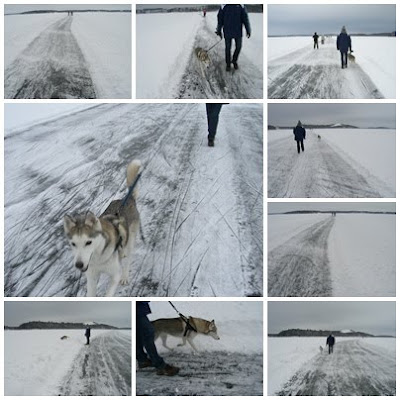 Ute+p%C3%A5+isgatan - Härlig 90 minuters promenad på isen