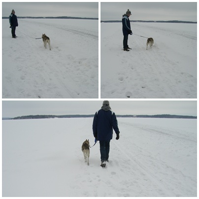 [Snö+på+isen+1.jpg]