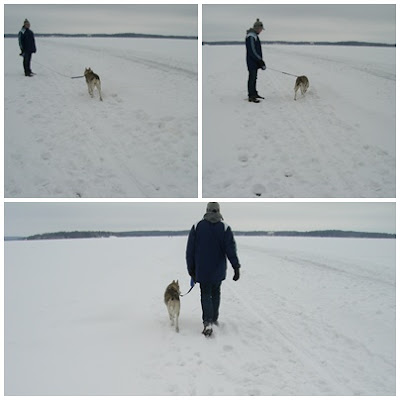 Sn%C3%B6+p%C3%A5+isen+1 - Härlig 90 minuters promenad på isen