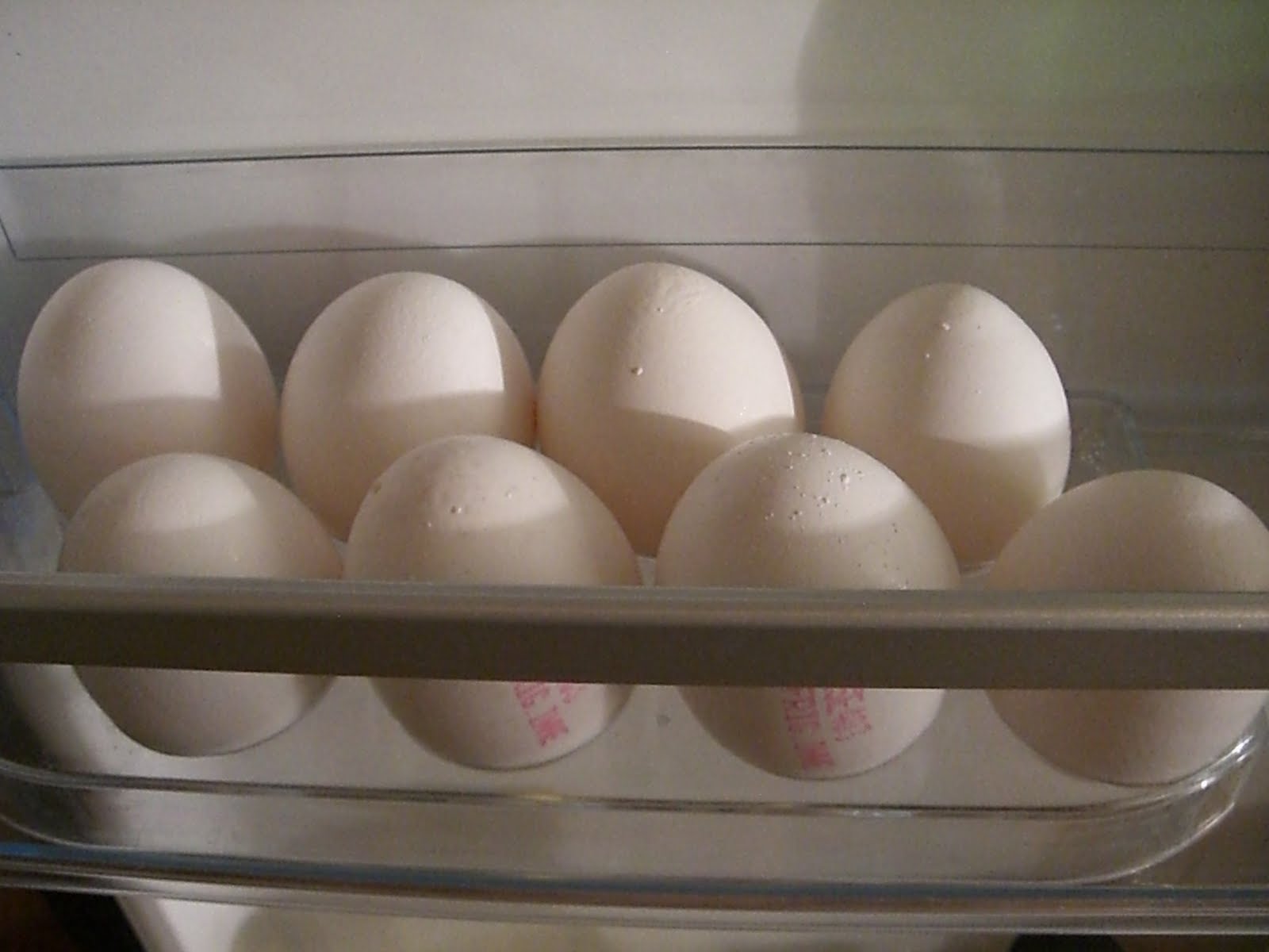 [ägg.JPG]