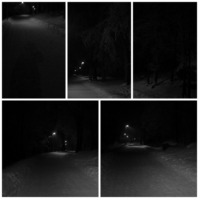 [vinterlandskap+svartvitt.jpg]