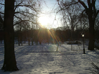 CIMG7646 - Solen gjorde mig på bra humör igen