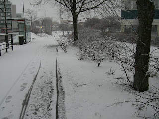 CIMG7659 - Snö, gång, hopp och studs