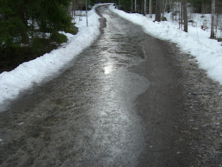 CIMG7771 - Morgonpromenad längst med sjön