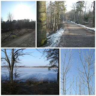 Skogspromenad+p%C3%A5+l%C3%A5ngfredagen+1+ - Morgonpromenad längst med sjön