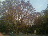 aten+053 - Härlig start på dagen med joggingtur