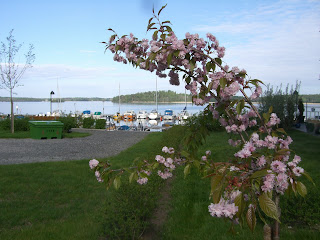 Vacker+morgon - Med hopp om sol och värme efter träningen idag