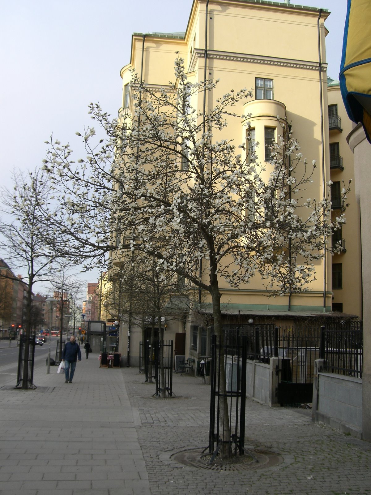 [mixture+picture+March2009+259.jpg]