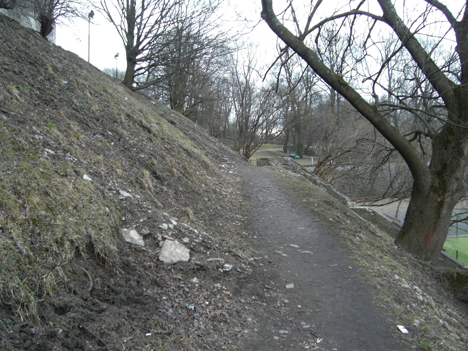 [mixture+picture+March2009+249.jpg]