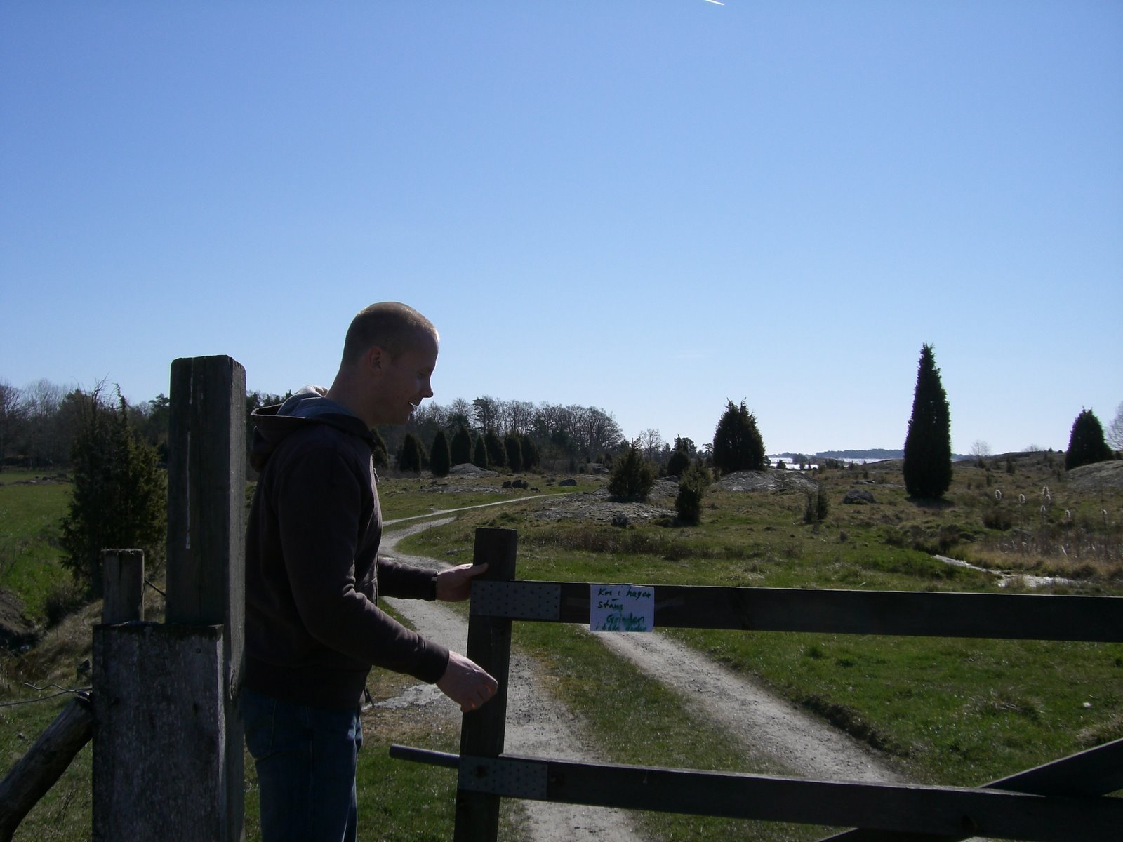 [mixture+picture+March2009+283.jpg]