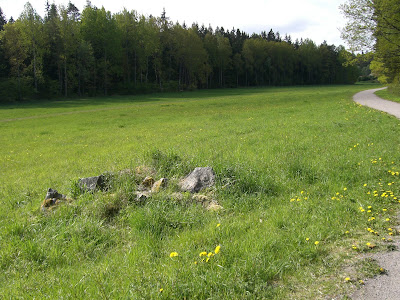 %C3%A4ngen - Blommor från min morgonpromenad