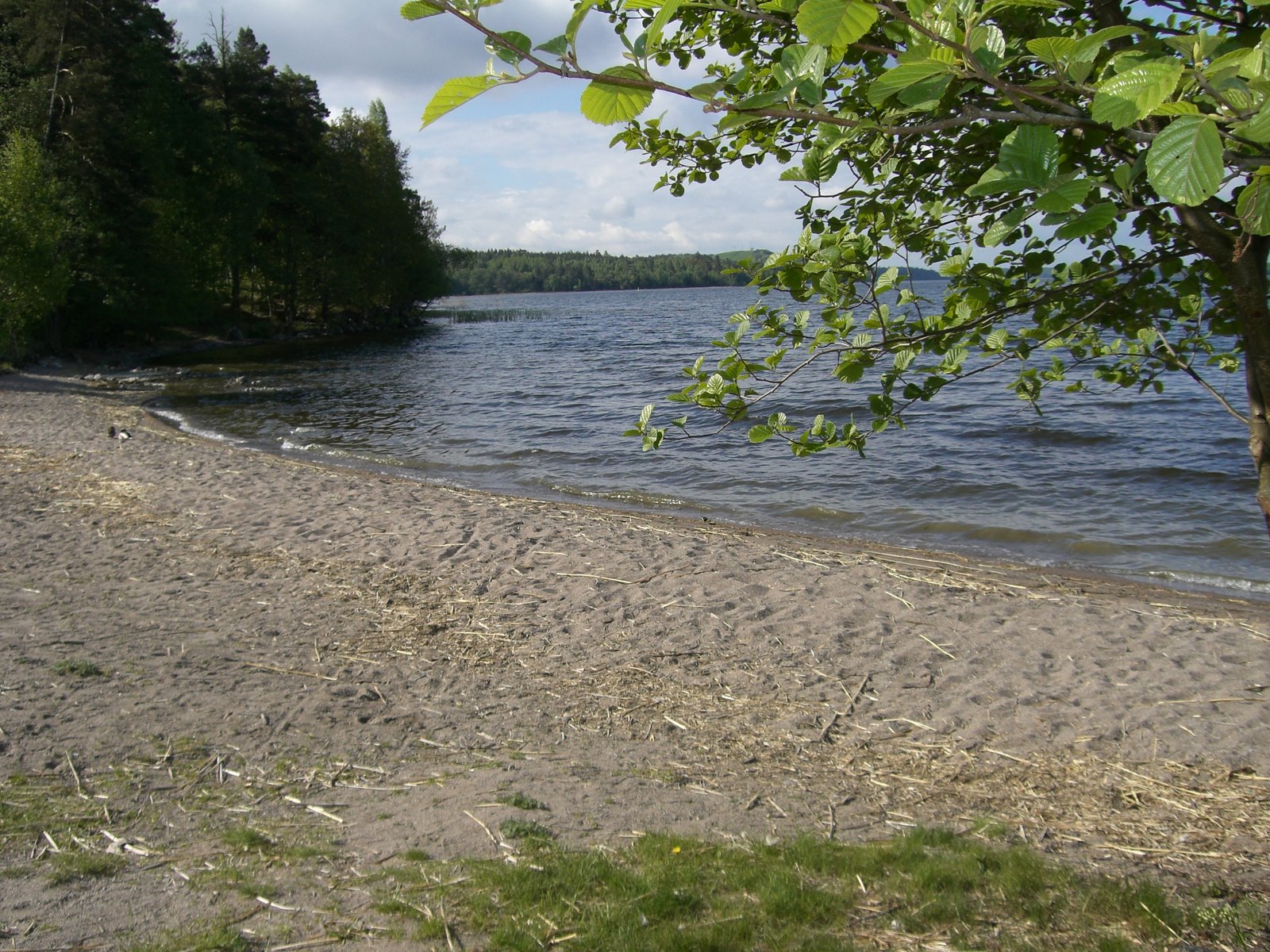 [mixture+picture+March2009+369.jpg]