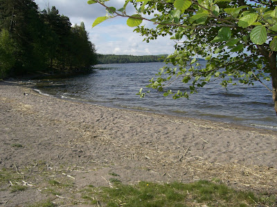 mixture+picture+March2009+369 - Blommor från min morgonpromenad