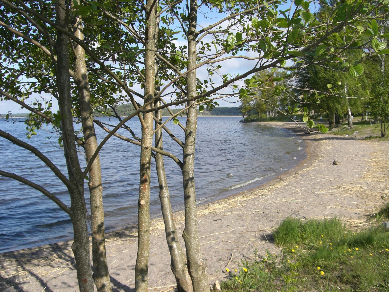 [mixture+picture+March2009+370.jpg]