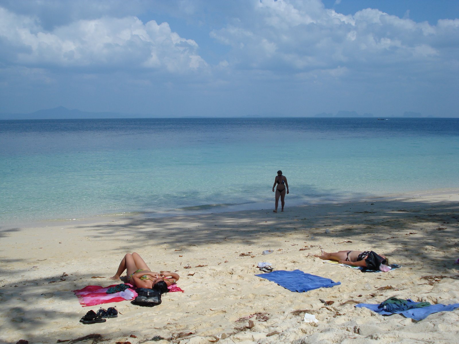 [mixture+picture+March2009+021.jpg]