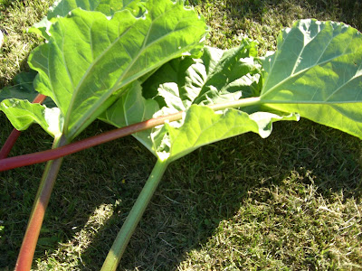 lindas+land+032 - Härlig tjejhelg på landet