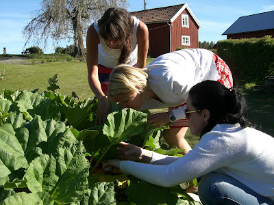 lindas+land+031 - Härlig tjejhelg på landet