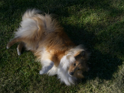 lindas+land+028 - Härlig tjejhelg på landet