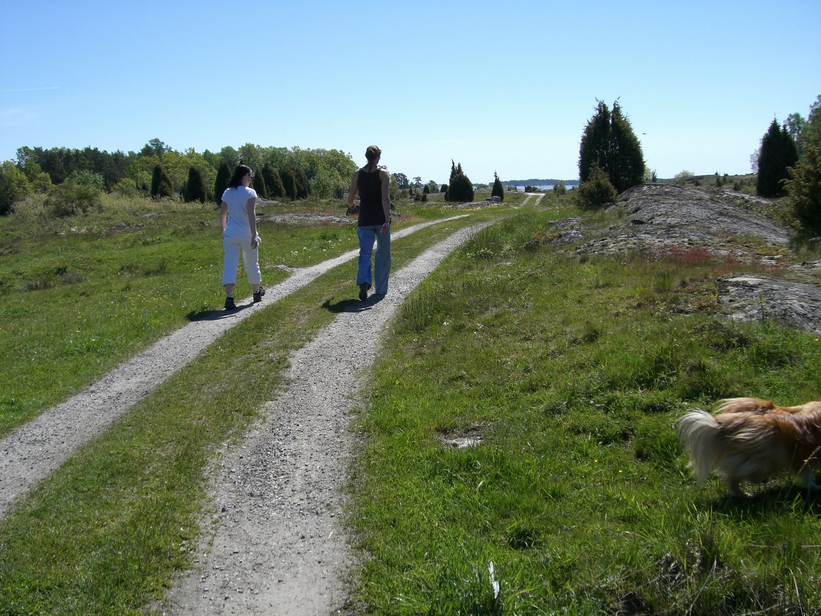 [lindas+land+014.jpg]