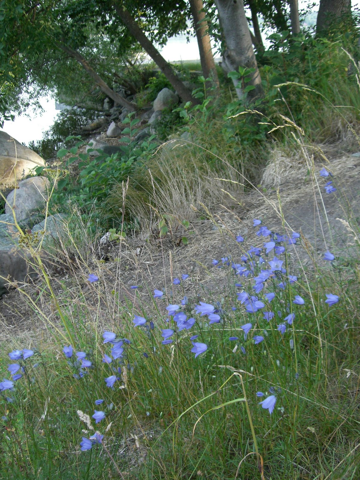 [mprom+3+juli+016.jpg]