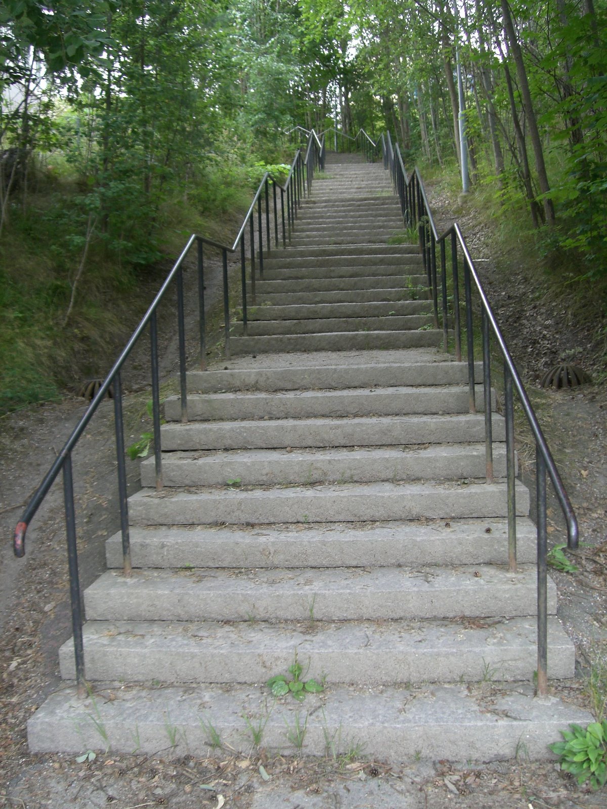 [mulet+stavgång+och+intervallträning+i+trappa+007.jpg]