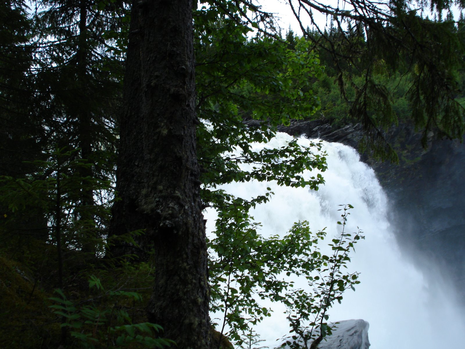 [mixture+picture+March2009+169.jpg]