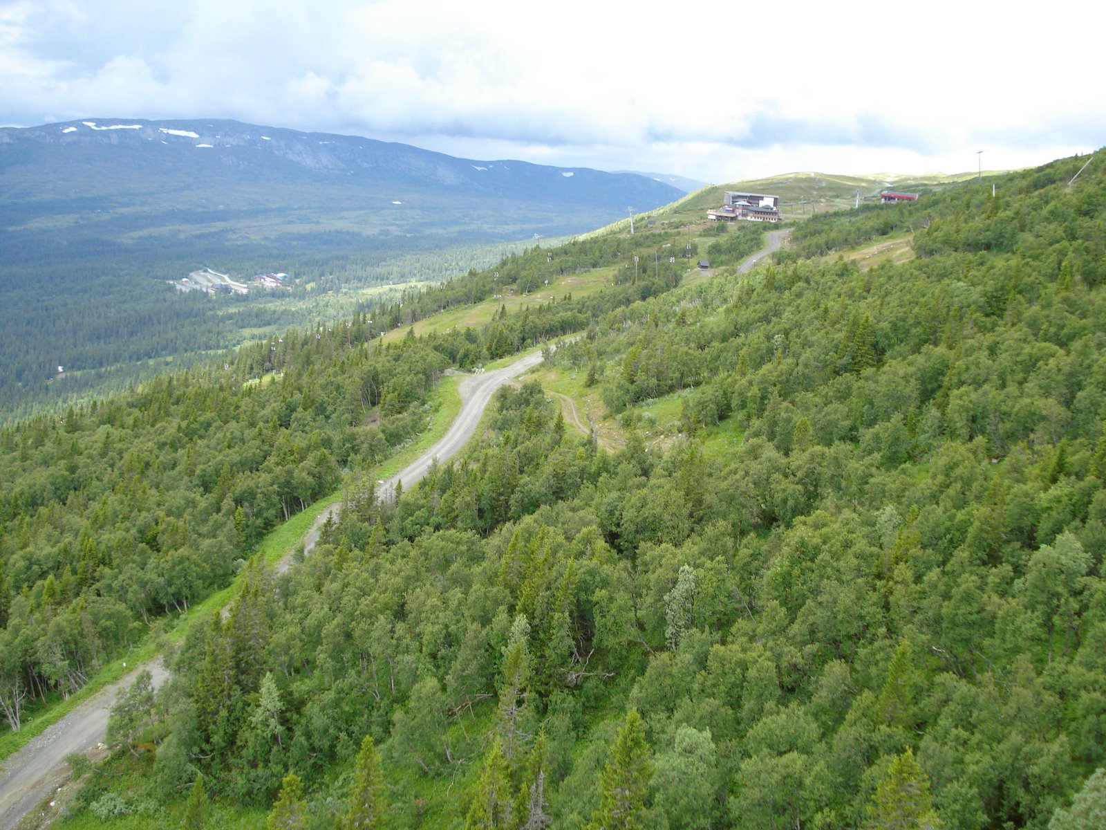 [mixture+picture+March2009+159.jpg]