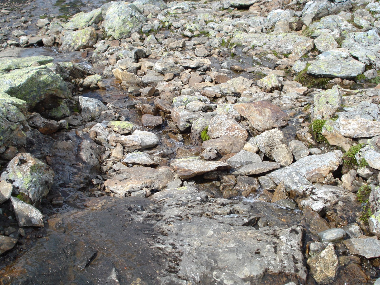 [mixture+picture+March2009+134.jpg]