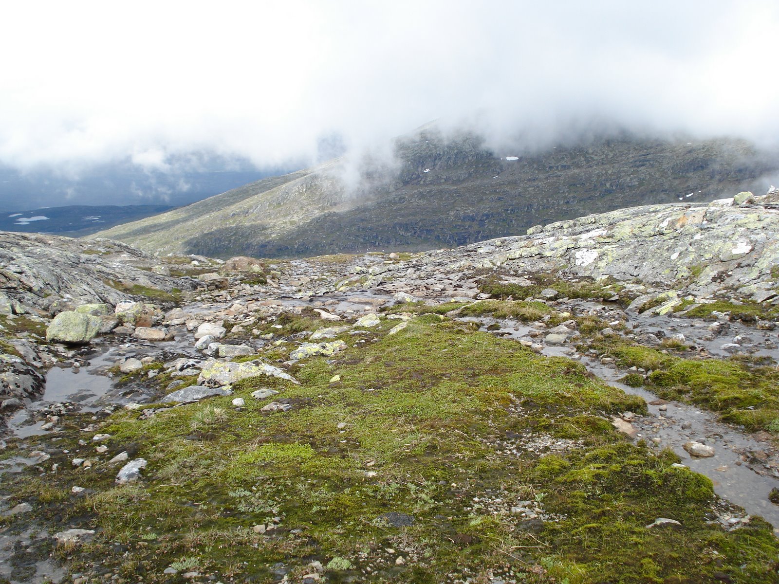 [mixture+picture+March2009+139.jpg]