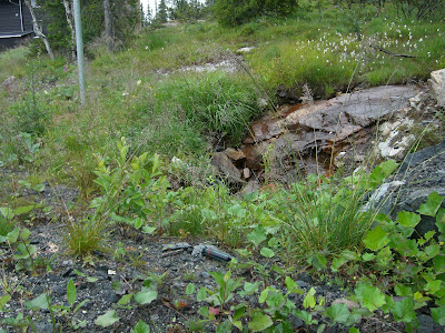 morgonpromenad+%C3%A5re+003 - Morgonpromenad i ett regnigt Åre