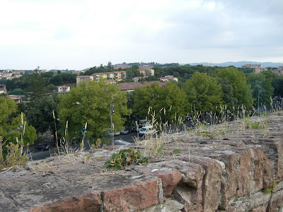 pippi+001 - Morgonpromenader i Siena och San Gimignano