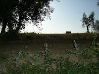italien+toscana+369 - Morgonpromenad i Pienza