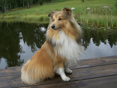 CIMG4489 - Härlig helg på landet