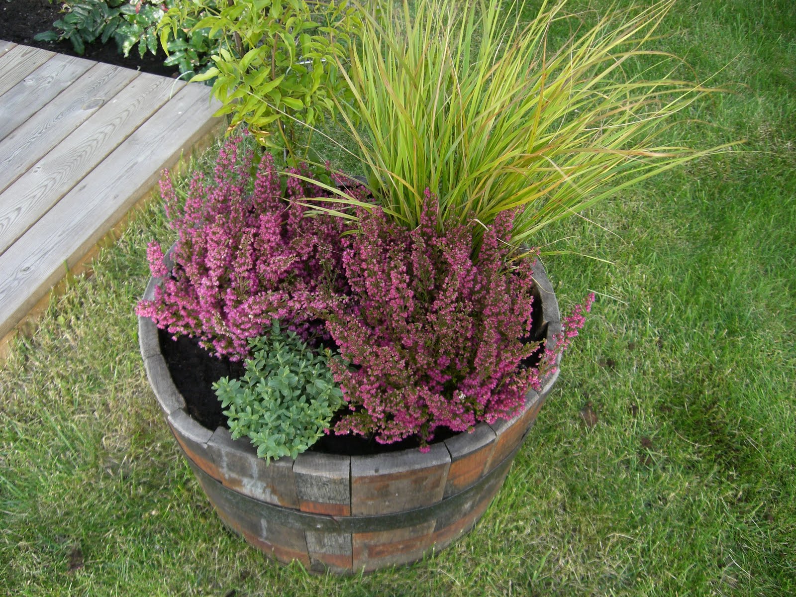 [höstblommor+och+tortilla+006.jpg]