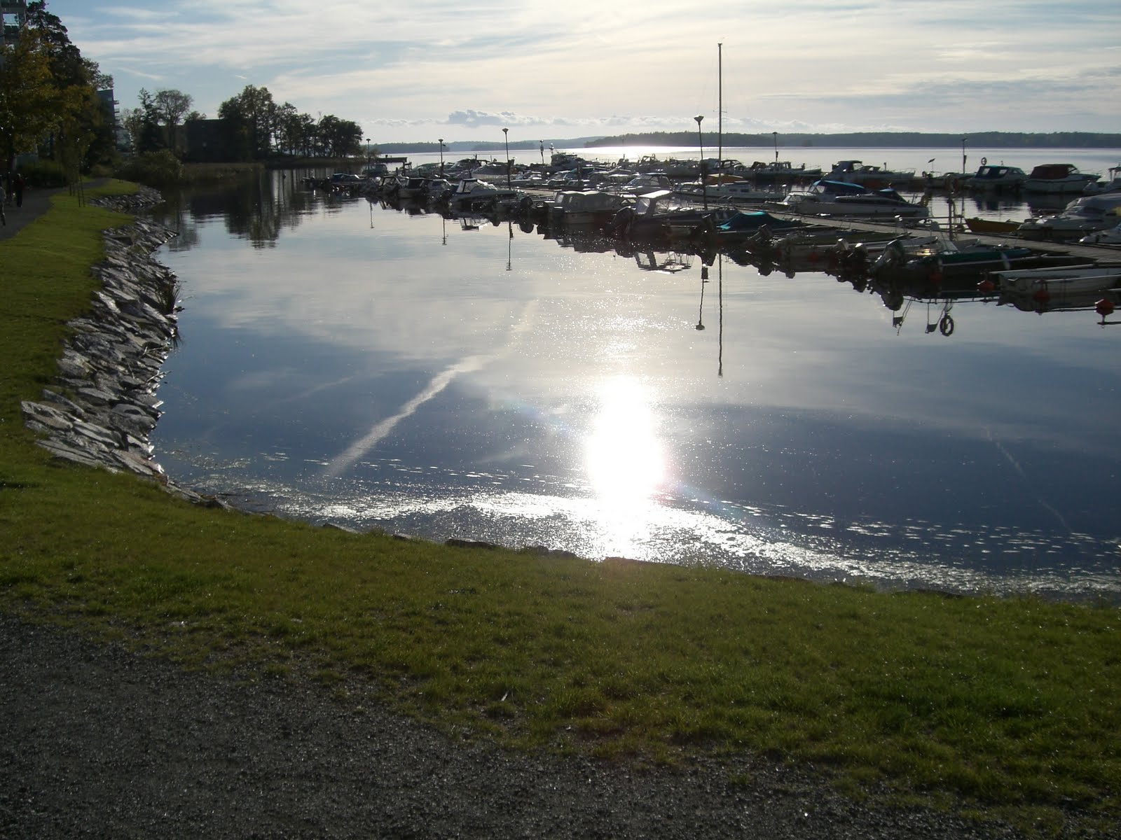 [mixture+picture+March2009+080.jpg]