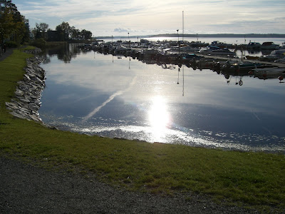 mixture+picture+March2009+080 - Underbar höstdag